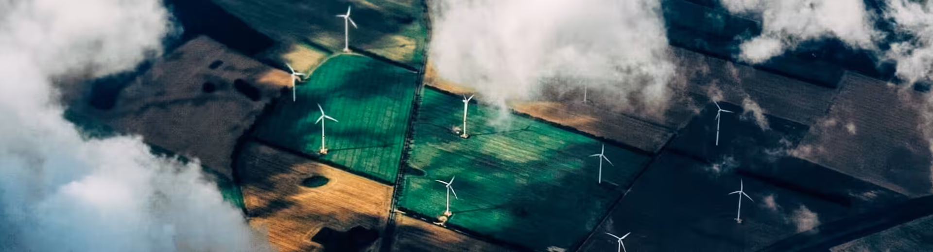 Services spécialisés dans le monde entier