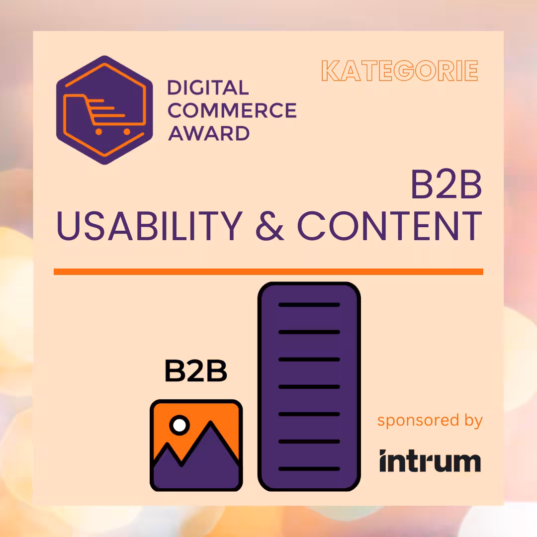 B2B Usability & Content Intrum