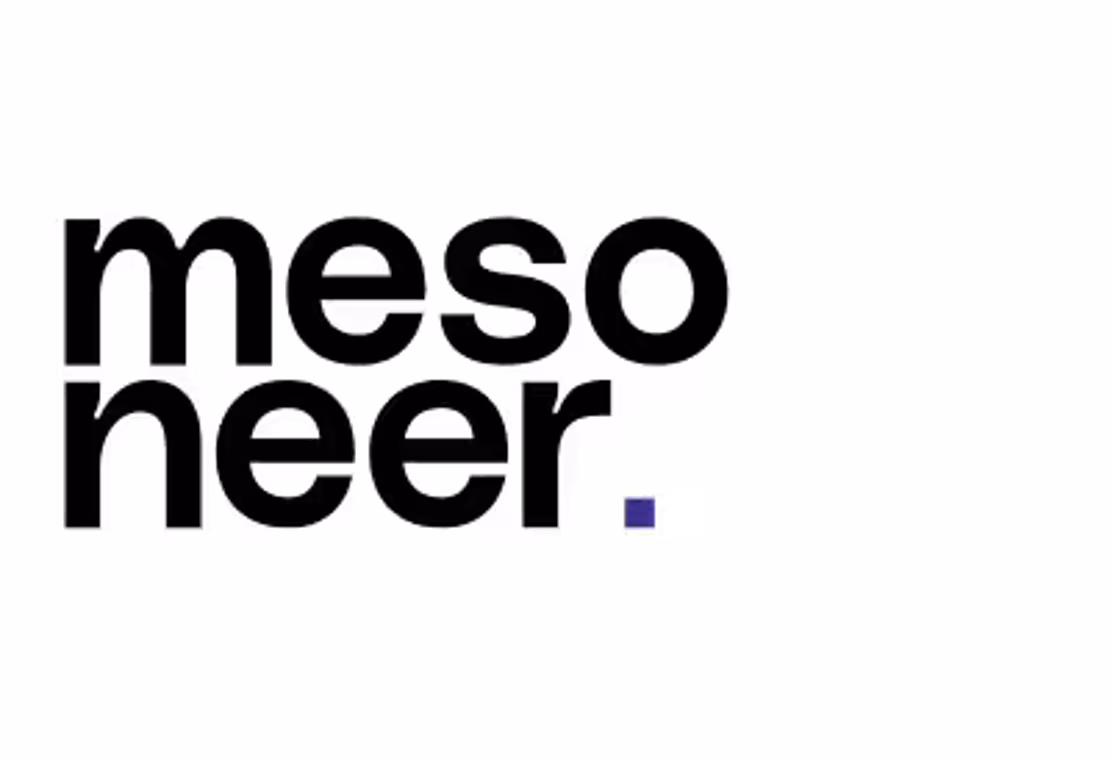 mesoneer