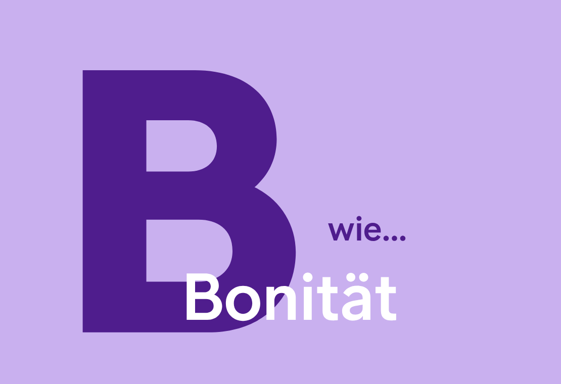 Bonität einfach erklärt